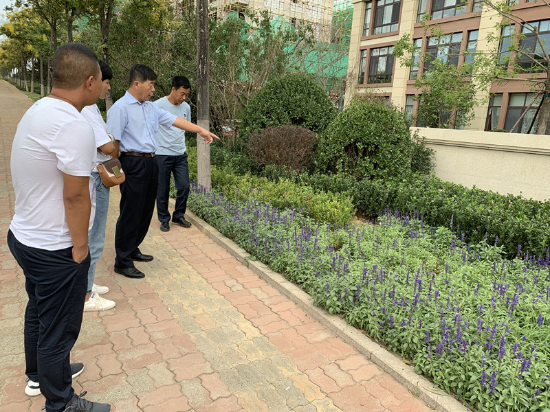20.园林公司赴威５鞑橐计纺仙较钅.jpg