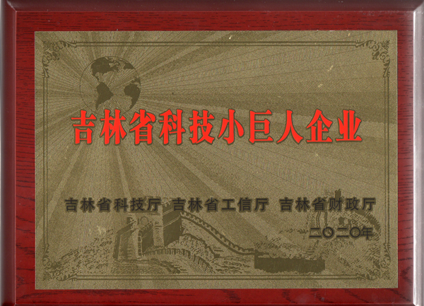 0BBIN宝盈集团物业获“吉林省科技幼巨人企业”称号_副本.jpg