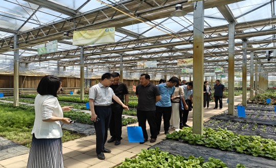 29.中国绿色食品发展中心有关辅导光临农业总公司调查调研_副本.jpg